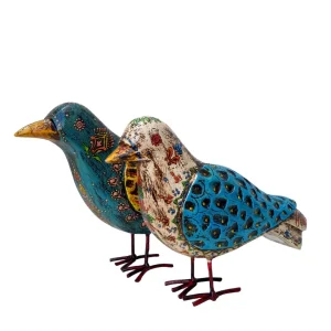 Pajaro Pintado Pequeño